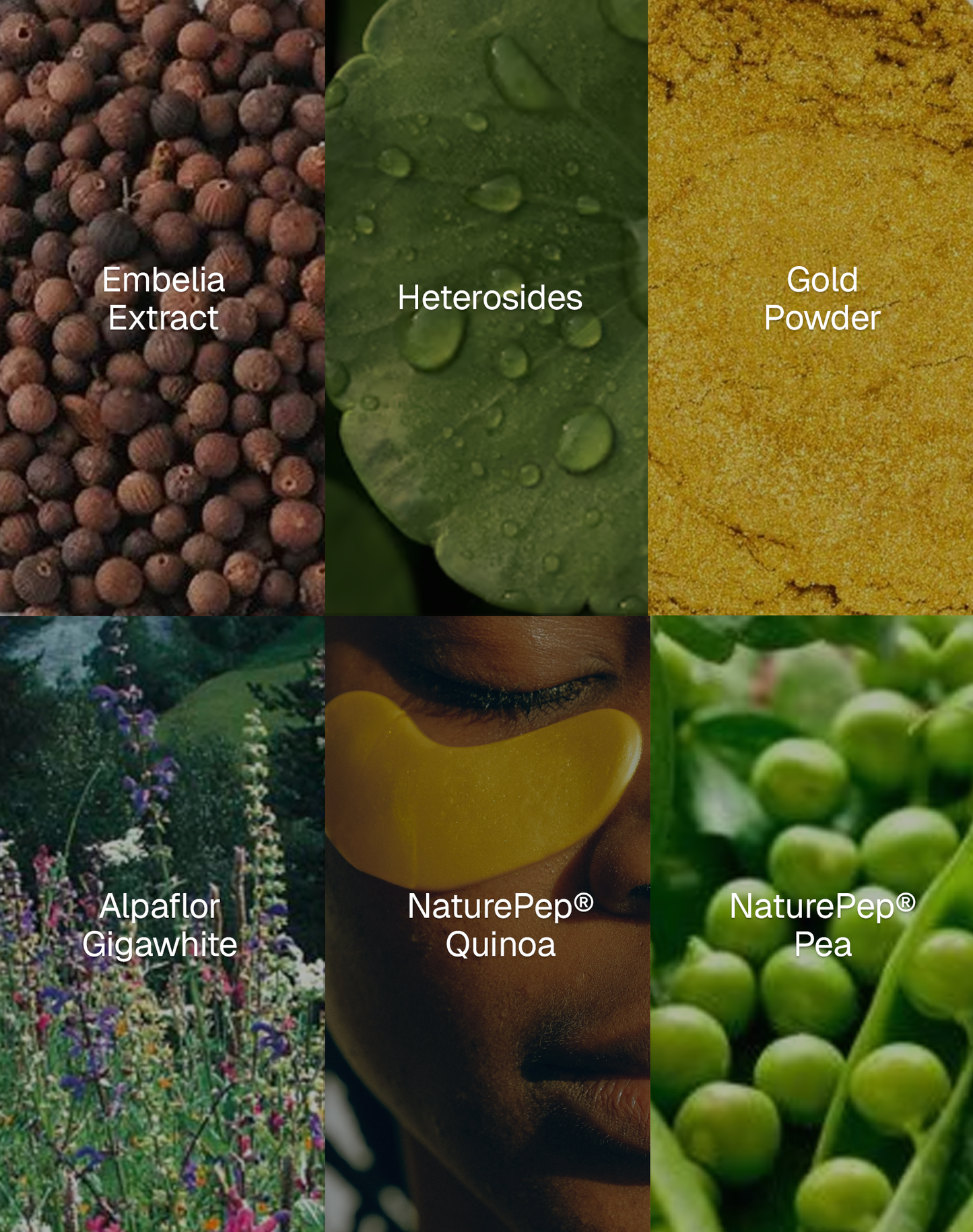 Collagen Boost Eco-Peptide