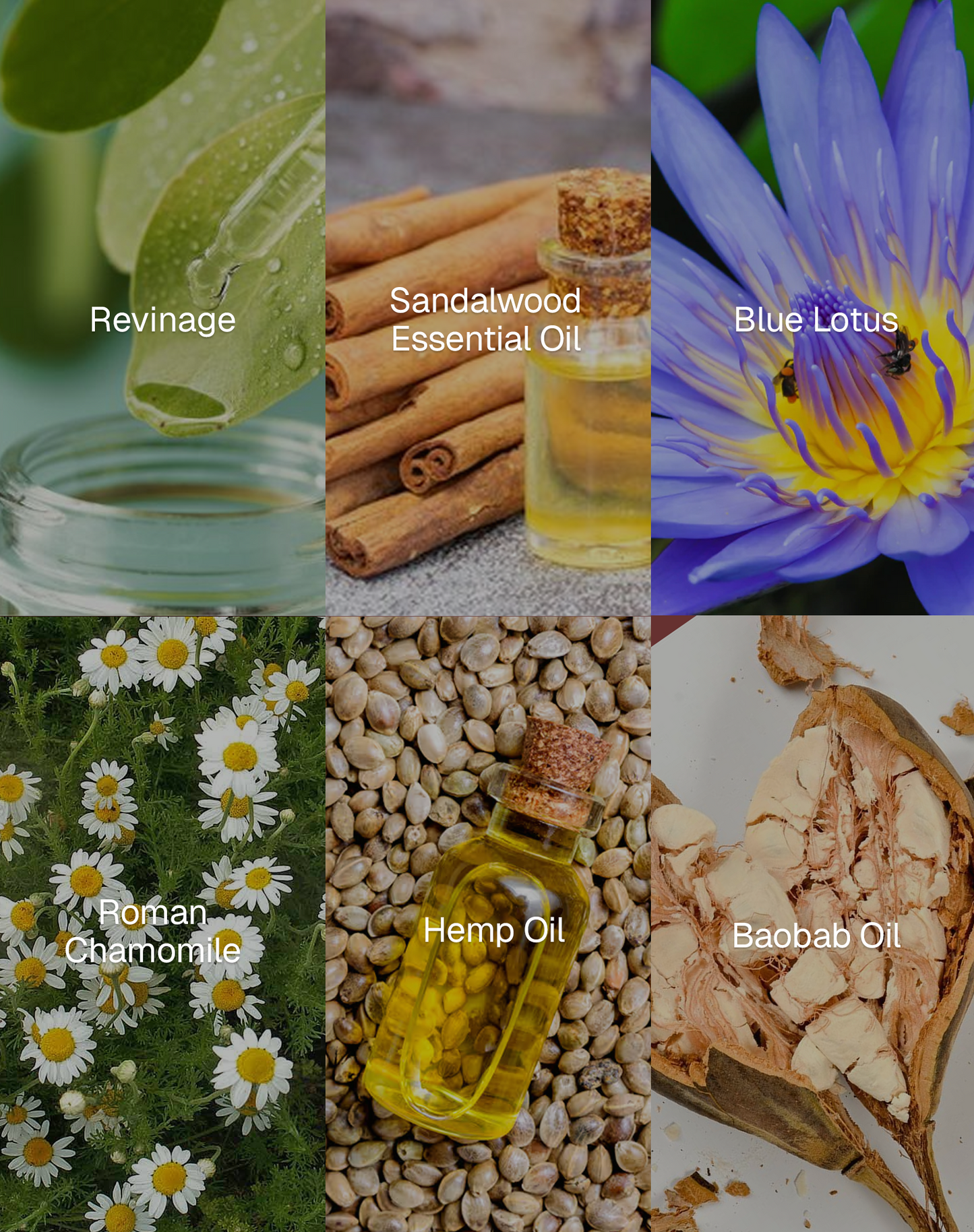 Bio Luminate Retinol Complex