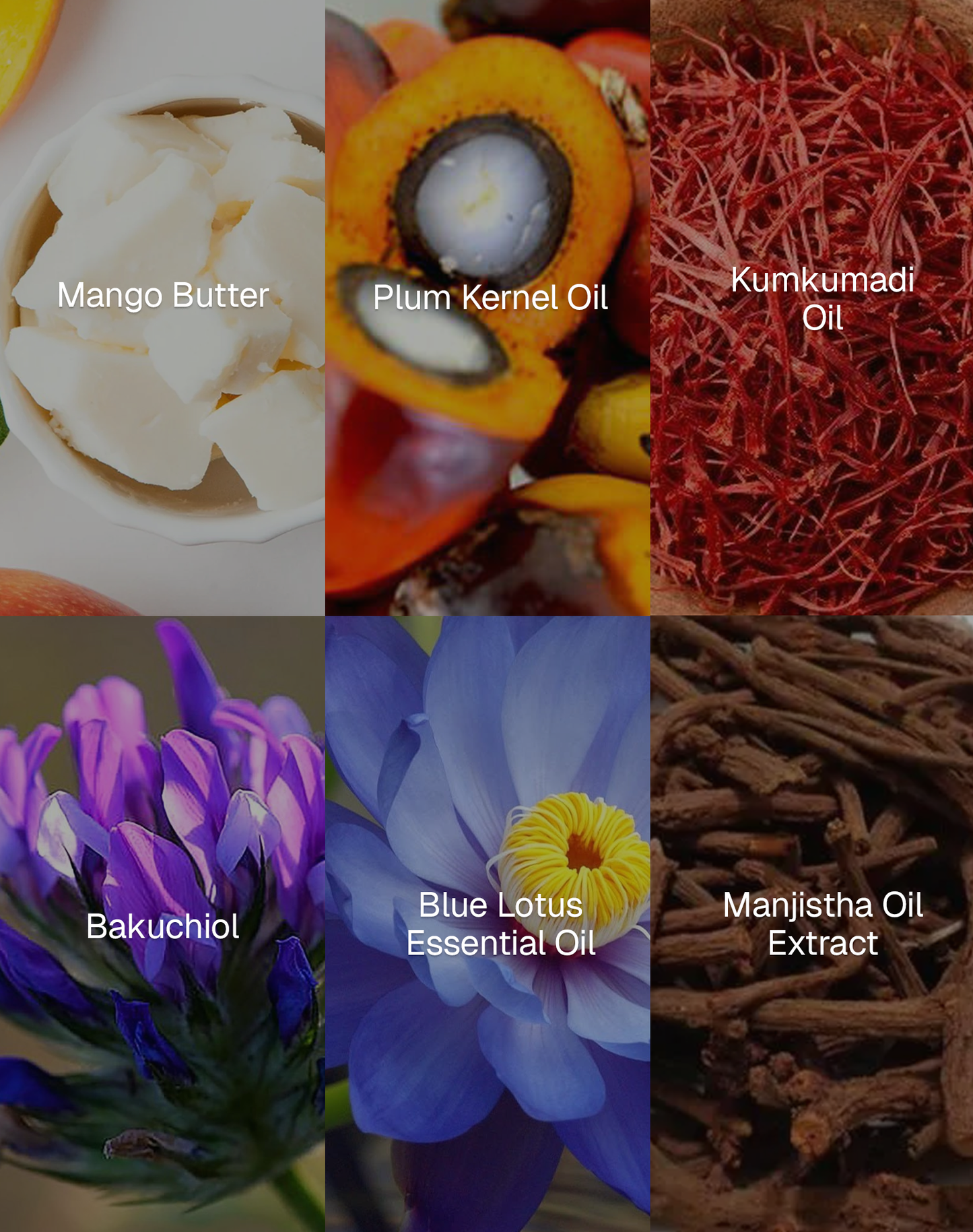 Divine Lotus Lip Butter